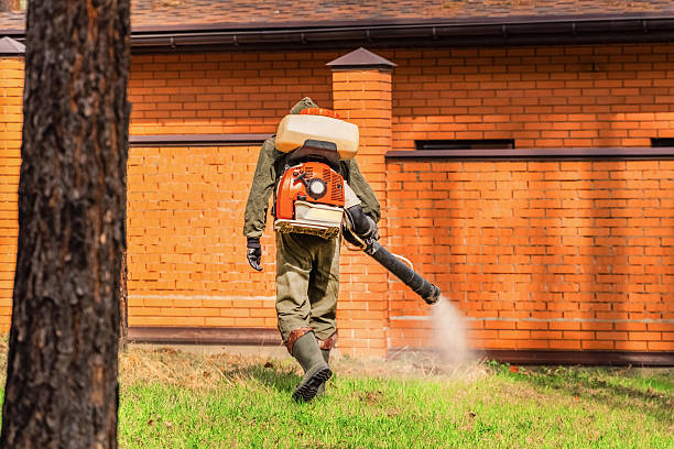 Trusted Cockroach Control service in Grand Canyon Village, AZ - Nex Pest Control